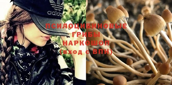 амфетамин Белокуриха