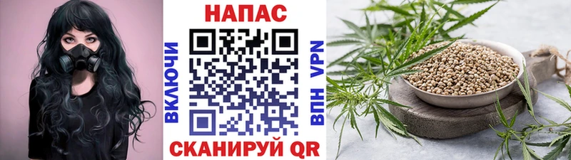 Шишки марихуана SATIVA & INDICA  где купить наркоту  Вуктыл 